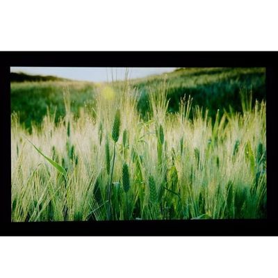 10,1» LCM 1024×600RGB   ² 350cd/m   LQ101W3LG01 дисплей диеза TFT LCD