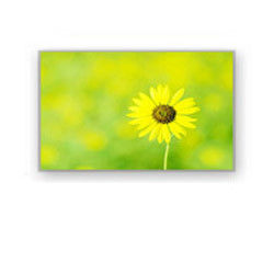 4,0&quot; дисплей HSD040I3N1-B00 HannStar 320×240 4700cd/M2 промышленный Lcd